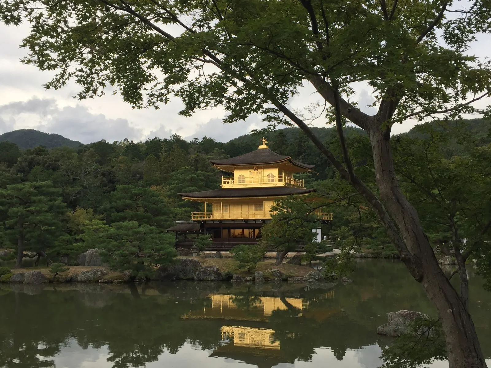 A Kyoto pond garden — nature framed by architecture for centuries